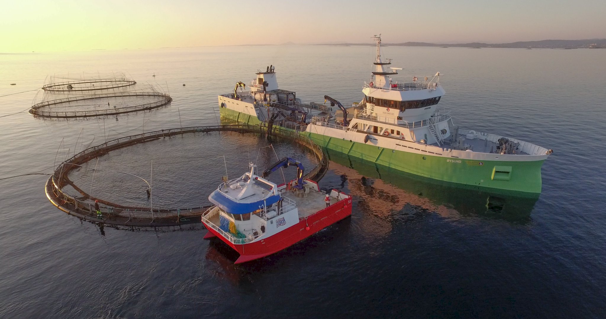 aqua_oppdrett-resize