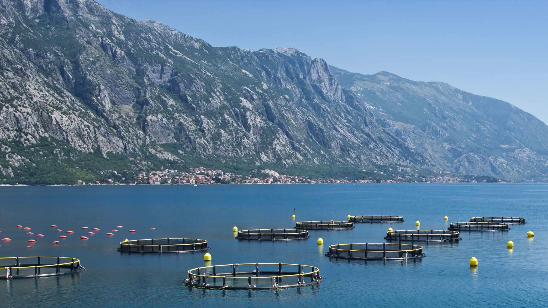 case_egersund_group_cover