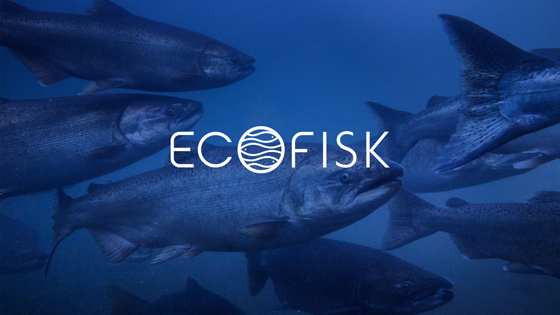 Ecofisk toppbilde Appex